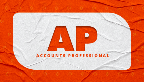 accounts professional